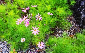 Gapyeong Provence Pension