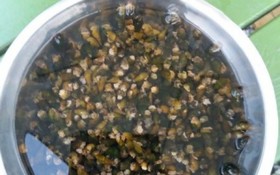 Gapyeong Riona Pension