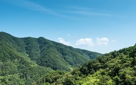 Gapyeong Supsogeneun Pension