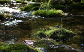 Gapyeong Suryuhwagaewon Pension
