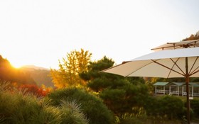 Gapyeong Taeri House Pension