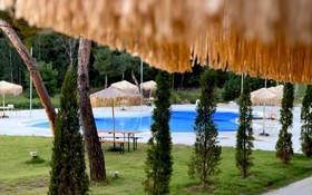 Gapyeong Tree House Pension