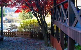 Gapyeong Tree House Pension