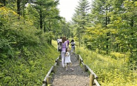 Gapyeong Tree House Pension
