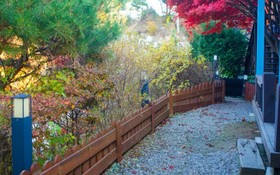 Gapyeong Tree House Pension
