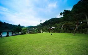 Gapyeong Tree House Pension