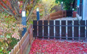 Gapyeong Tree House Pension