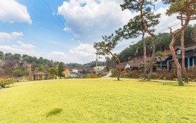 Gapyeong Tree House Pension