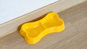 Gapyeong Walkingoncloud Pension & Glamping