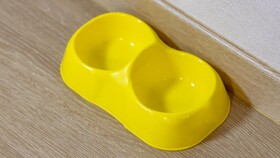 Gapyeong Walkingoncloud Pension & Glamping