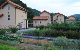 Gapyeong Week Palm Glamping Pension