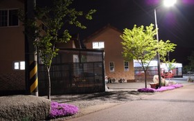 Gapyeong Week Palm Glamping Pension