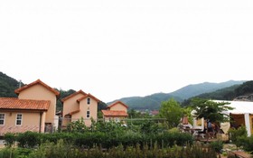 Gapyeong Week Palm Glamping Pension