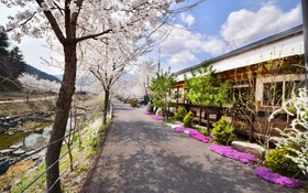 Gapyeong Week Palm Glamping Pension