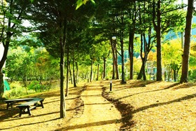 Kensington Resort Cheongpyeong