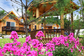 Popcorn House Pension