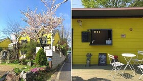 Solger Pension