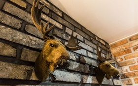 Sanbon Hotel in Cafe