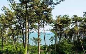 Hwaseong Sea Pension