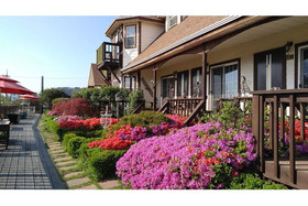 Indigo Pension