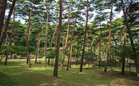 Namyangju Four Seaons Pool Villa