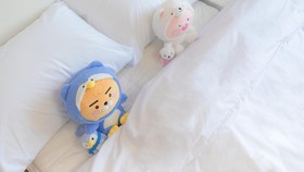 Namyangju J Valley Kids Family Pension