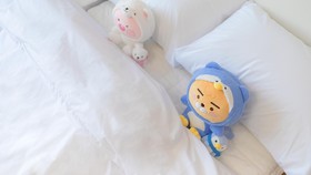 Namyangju J Valley Kids Family Pension