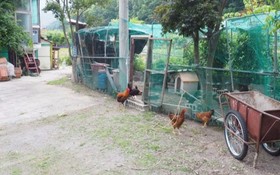 Namyangju Sansu Jeongwon Pension