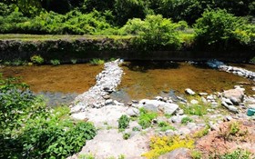 Namyangju Sansu Jeongwon Pension