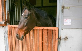 Namyangju Season Five Pension