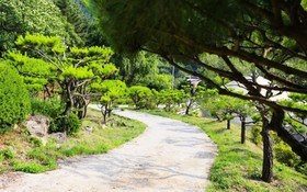 Namyangju Season Five Pension