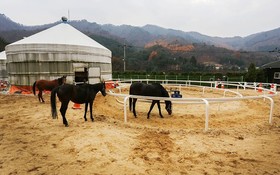 Namyangju Season Five Pension