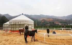 Namyangju Season Five Pension