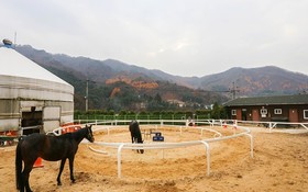 Namyangju Season Five Pension