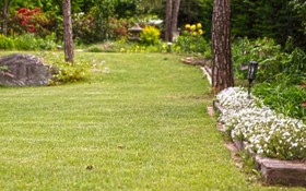 Namyangju Tannenbaum Pension