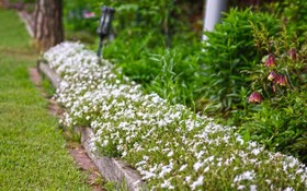 Namyangju Tannenbaum Pension