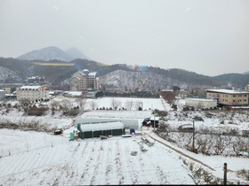 Daisy Hotel