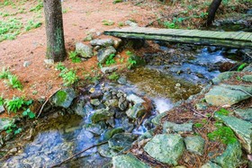 Log Camp