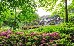 Yangpyeong Beatrice Pension