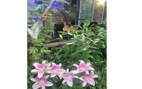 Yangpyeong Cezanne Gallery Pension