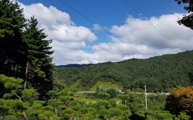 Yangpyeong Dajian Forest Hill Pension