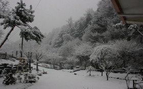 Yangpyeong Dotorhy Valley Pension