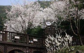 Yangpyeong Dotorhy Valley Pension