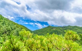 Yangpyeong Galgisan Forest Hill Pension