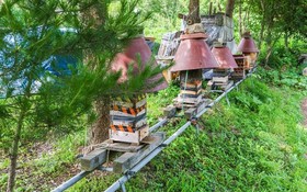 Yangpyeong Gireogi Pension