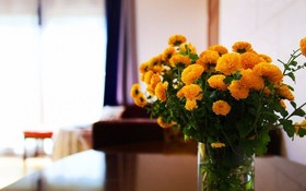 Yangpyeong Healing Day Pension
