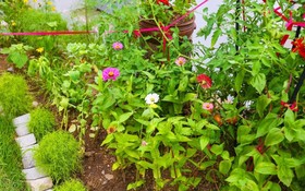 Yangpyeong Healing Day Pension