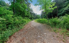 Yangpyeong La Pin de Foret Pension