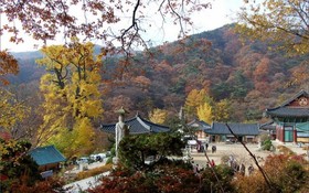 Yangpyeong Live Healing Pension