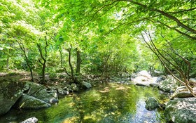 Yangpyeong Live Healing Pension